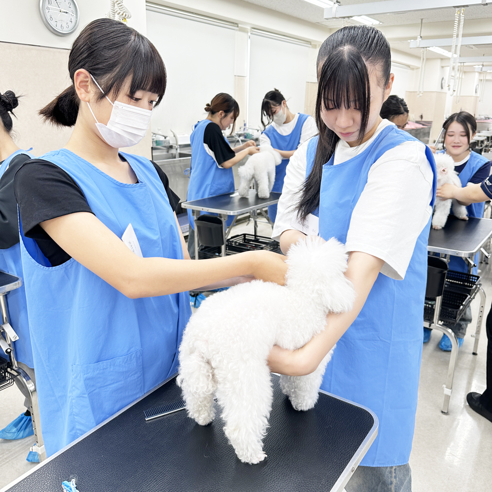 高校３年生対象！入学前のプレ授業♪